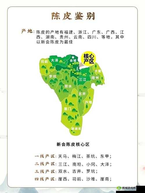 国产产区一二三产区区别在线全解析