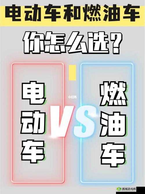 关于 www.7777 电车爱爱相关内容的深入探讨与分析